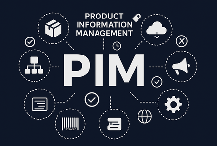 Darstellung eines PIM-Systems mit Symbolen und Icons