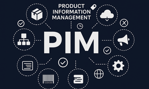 Darstellung eines PIM-Systems mit Symbolen und Icons