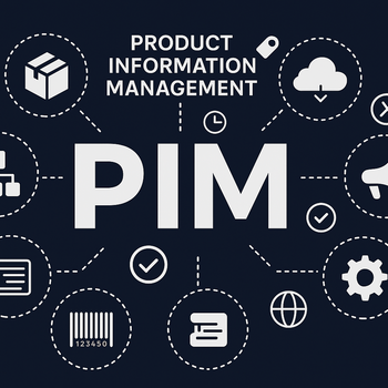 Darstellung eines PIM-Systems mit Symbolen und Icons